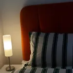Cozy Central Flat In Sarajevo & Olympic Hall View