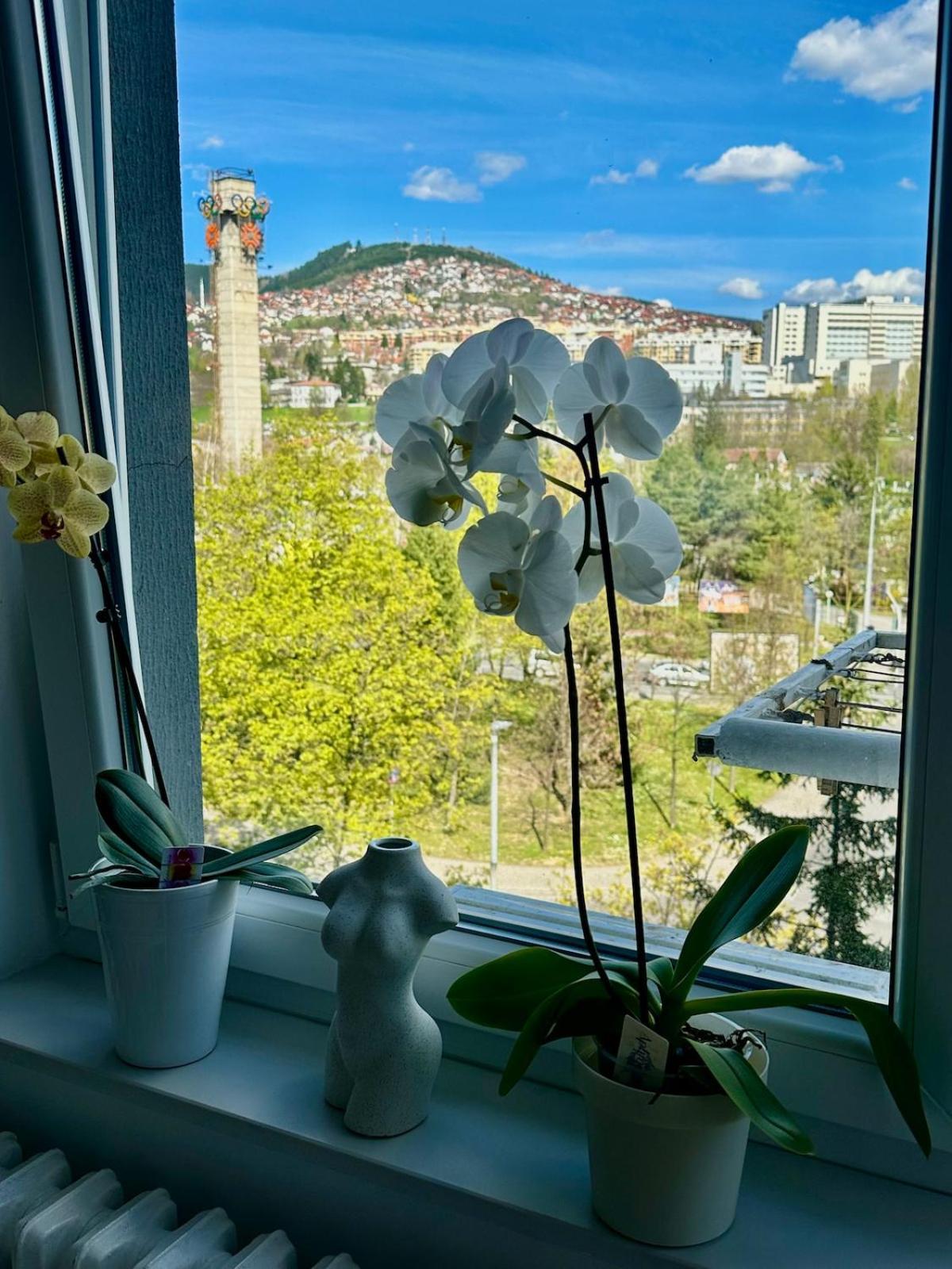 Cozy Flat In & Olympic Hall View * Sarajevo
